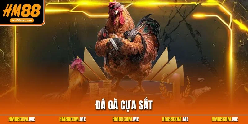 đá gà cựa sắt hm88