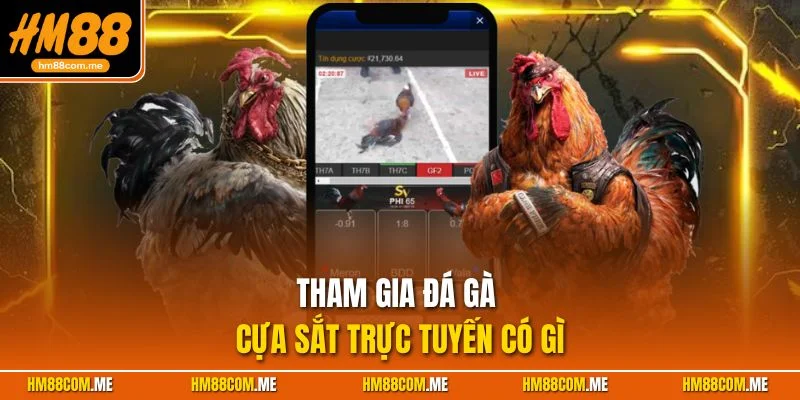 Đá gà cựa sắt tại HM88 mang lại thăng hoa trong cảm xúc