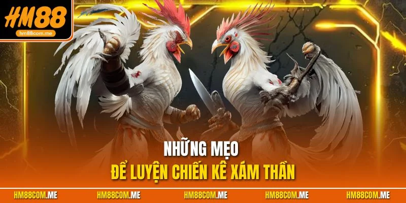 Những mẹo luyện chiến jee xám thần cần biết