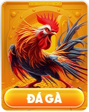 đá gà hm88
